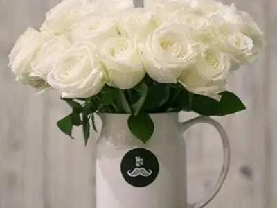 白玫瑰的花语是什么意思寓意 黄玫瑰花语