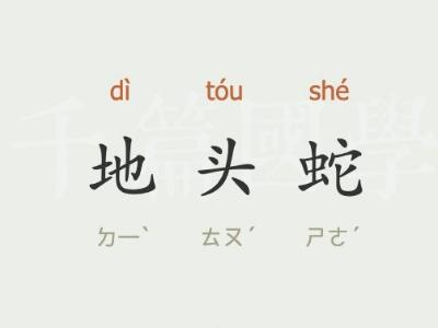 地头蛇比喻什么样的人 地头蛇比喻什么人