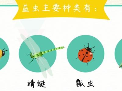 益虫益鸟有哪些分别 有哪些作用 益虫益鸟