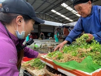 陕西妹3年西藏自驾游4次 9条进藏路走8条