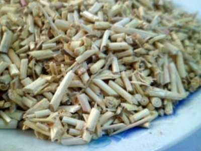 白茅根的作用与功效及副作用 黄芪白茅根