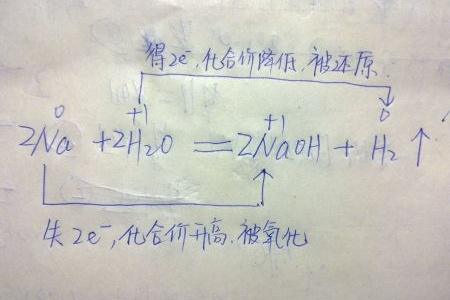 氯化钠与水反应的现象 钠与水反应方程式