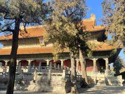 三孔景区免费政策2023 三孔景区旅游攻略