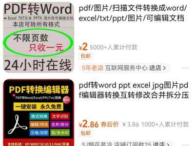 文档转换, 月入20000, 创业必备的小副业