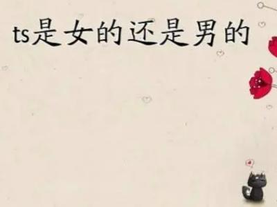 ts是什么意思 ts具体是什么意思 网络语言