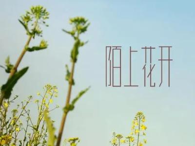 陌上花开什么意思，陌上花开暗示的寓意