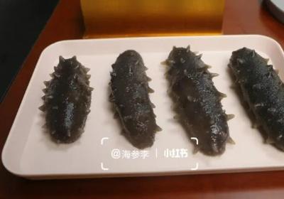 海参补什么功效与作用, 男的吃海参补什么