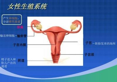 初一生物下册课本人教版 下册知识点归纳