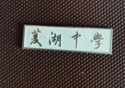 菱湖中学录取分数线，菱湖中学校长介绍