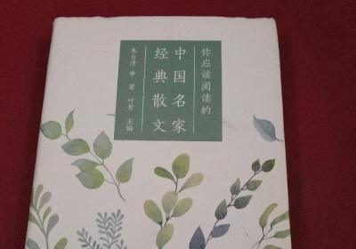 名家散文摘抄600字 名家散文摘抄加批注