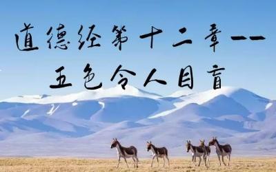 五色令人目盲 五味令人原文和翻译的介绍