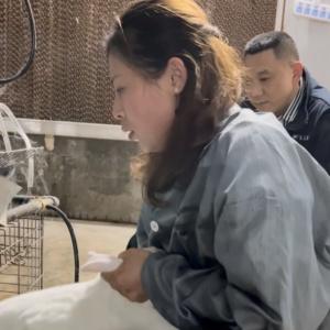 闪婚闪离成单亲妈妈 养殖成女老板赚百万