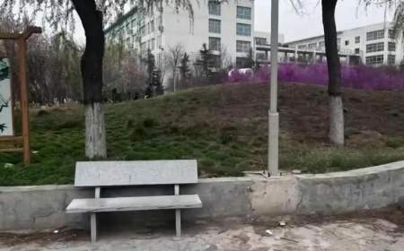 河南新乡职业技术学校情侣的不雅视频曝光