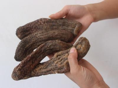 男人必吃的12种健康食物 男人必吃的食物