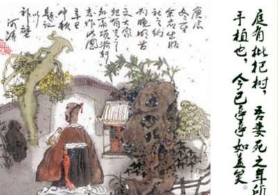 项脊轩志有云三五之夜明月半墙三五是指