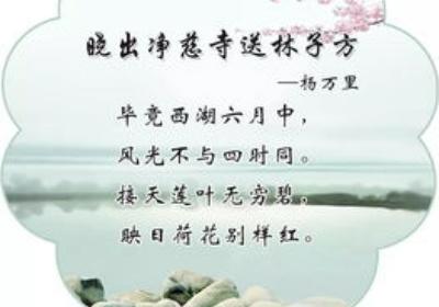 晓出净慈寺送林子方译文及注释的详细介绍