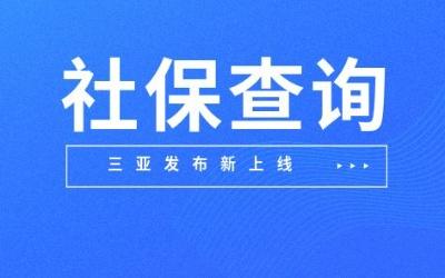 北京查社保个人缴费情况 成都查社保缴费