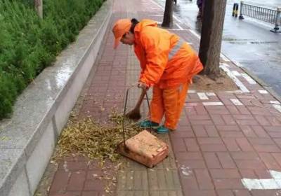环卫处工作总结和谋划 环卫处工作的总结