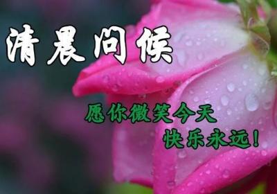 美好的祝福语简短贺词 美好的祝福的文案