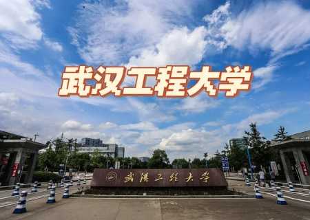 武汉工程大学研究生院 武汉工程大学的系统